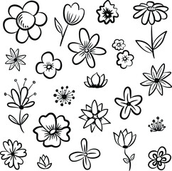 Collection flowers of botanical hand drawn doodles. Vector illustration