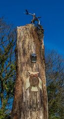 Strange place to park a bike