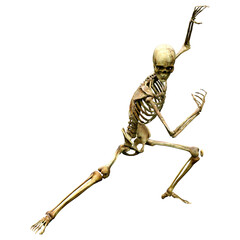 3D Rendering Human Skeleton on White