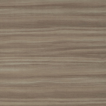 Wood texture background. Natural wooden surface