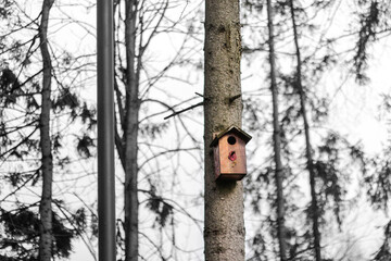 Defocus wooden orange birdhouse on a trunk of a tree in the park on black and white background. Bird feeder. Copy space. The birdhouse is waiting for the arrival of migratory birds. Out of focus