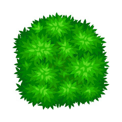 Lush Underwood or Bush as Perennial Woody Plant with Dense Foliage Cover Vector Illustration