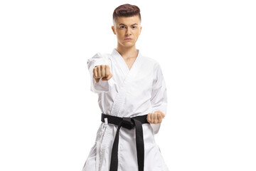 Teenage boy exercising karate kata © Ljupco Smokovski