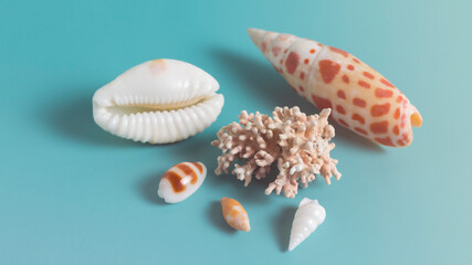 Summer sea background - shells and coral on a blue background.