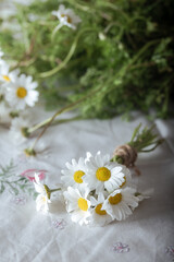 A bunch prepared with fresh daisies collected from the field. There are unedited daisies in the background.