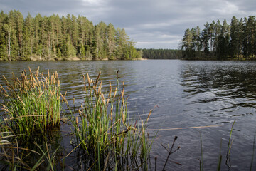 Mardanga lake with peninsulas, Latvia