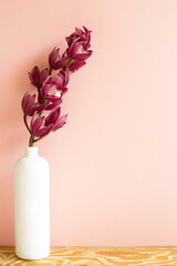 Vase of cymbidium flowers on wooden table. pink background