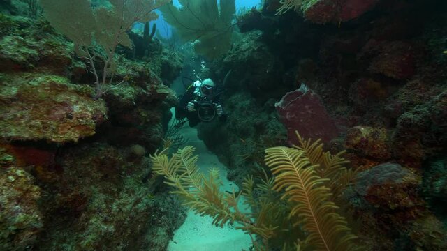 Man With Camera Exploring Coral Reef In Ocean