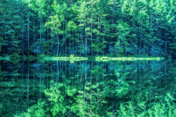 深緑の御射鹿池