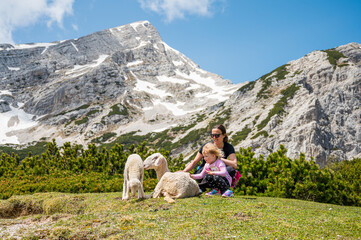 Fototapeta premium Mother and daughter petting cute sheep in mountain meadow.