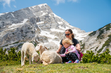Mother and daughter petting cute sheep in mountain meadow.
