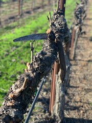 person riding a bicycle