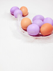 Colored eggs on plate with on white background. Copy space.  Easter concept.