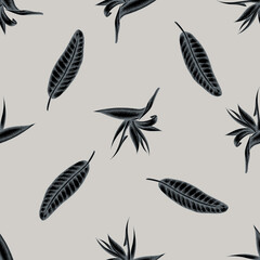 Seamless pattern with hand drawn stylized strelitzia