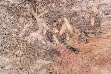 Wood cut texture with annual rings, cracks and rough edges