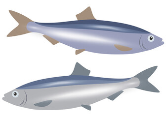 Set of blue and gray herring fish.