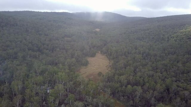 Aerial Descend: Green Trees In Forest Against Cloudy Sky