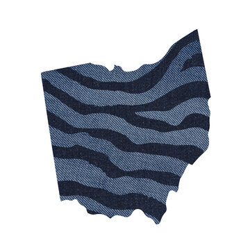 Political divisions of the US. Patriotic clip art denim textured with zebra print. State Ohio