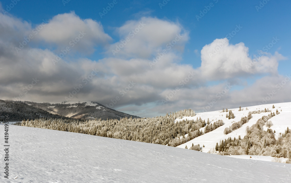 Canvas Prints winter meadow in mountains