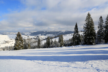 Fototapeta na wymiar winter landscape in Carpathians