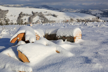 snow-covered wooden logs on meadow