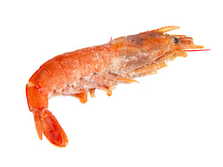 Frozen sea shrimp isolated on the white background