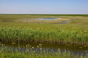 Bantpolder