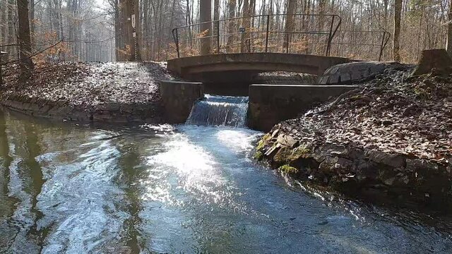 Bach mit kleinem Wasserfall im Siebentischwald Stadtwald Augsburg Zigeunerbach m&uuml;ndet in Siebenbrunner Bach
