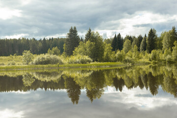 Fototapeta na wymiar Summer landscape. Reflection of trees in the lake, Russia.