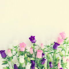 spring bouquet of purple, white and pink bell flowers over white wooden background. top view, flat lay