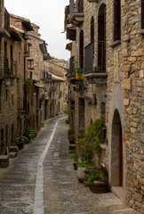 Fototapeta na wymiar narrow cobblestone street with massive brown stone houses