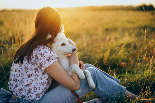 Woman Cuddling With Cute White Puppy In Summer Meadow And Looking At Warm Sunset Light. Happiness