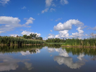 Duffins Creek Wetlands. The Lower Duffins Creek Wetlands is a 20 hectares wetlands that was designated provincially significant by the Ontario Ministry of Natural Resources in 2005.