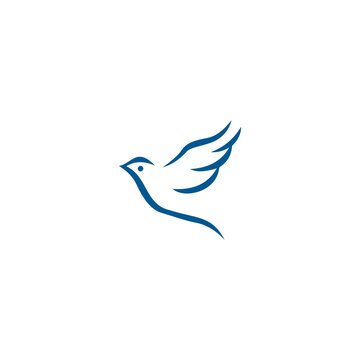 recommend clip art: dove bird logo , bird vector icon template