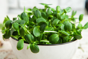 Microgreens the small shoots of any of various plants, such as arugula, dill, kale, or sorrel, that are used as food, especially in salads. 