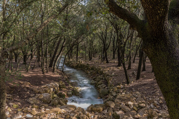 Ses Fonts Ufanes, Park in Mallorca, Spain