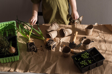 girls girls hands planting green onion. spring planting at home. Zero waste. Clear non toxic food. green onion with roots. hands planting green onion. spring planting at home