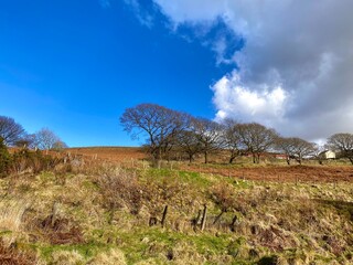 Welsh hillside