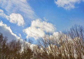 Heavy clouds above leafless trees after snowfall. Weather in winter. Nature background.
