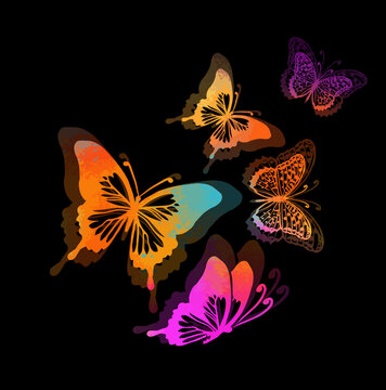 Colorful butterflies. Mixed media. Vector illustration