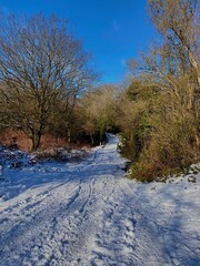 Snowy country lane
