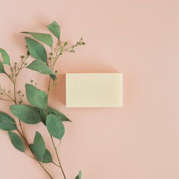 Bar of white soap on pink background with fresh eucalyptus 