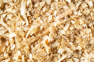  Wood shavings or sawdust after cutting wooden logs. Texture background close up top view