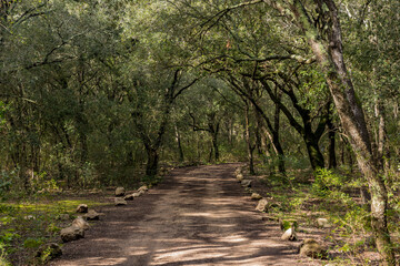 Fototapeta premium Ses Fonts Ufanes, Park in Mallorca, Spain