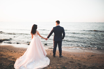 Happy wedding couple staying over beautiful landscape