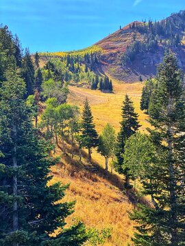 Sundance Mountain landscape in autumn, Utah, USA