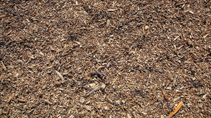 Wood chip mulch background. Close-up texture of a heap of wood chips from shredded trees 