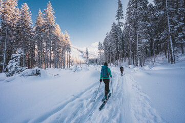 Mountaineer backcountry ski walking ski alpinist in the mountains. Ski touring in alpine landscape...