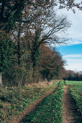 Frontière du bois de la Folie