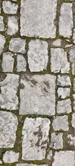Garden design: stone pavers with moss.
